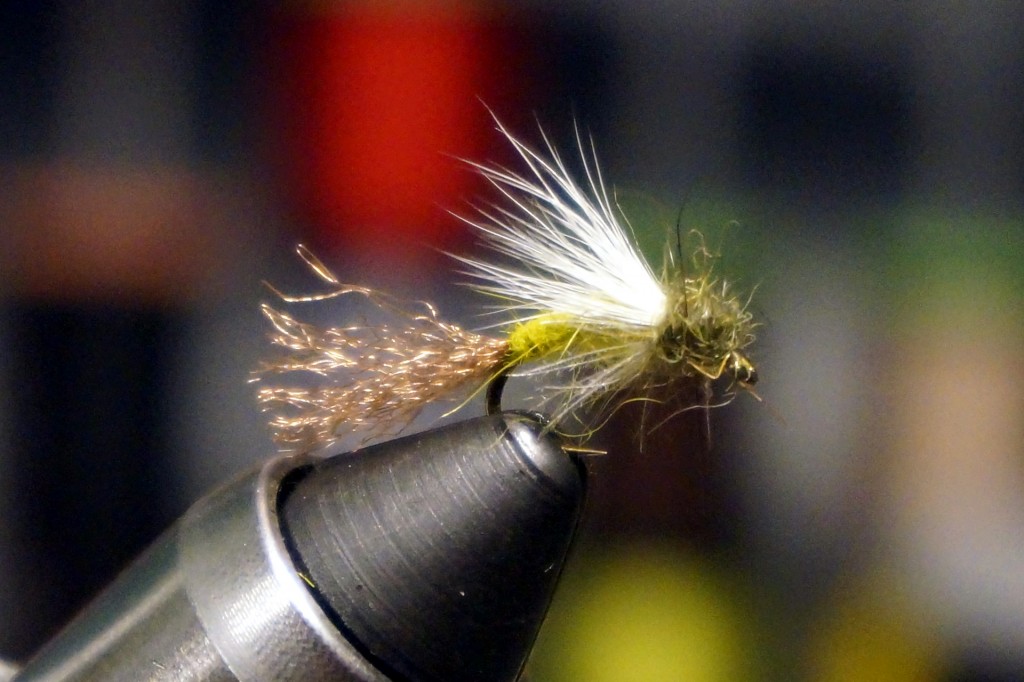 A variation of the above fly, tied with slightly different materials and colors